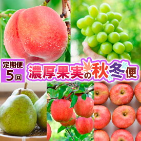 【ふるさと納税】【定期便5回】濃厚果実の秋冬便 FY25-021