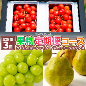 【ふるさと納税】【定期便3回】果物定期便コース(さくらんぼ、シャインマスカット、ラフランス) FY25-025