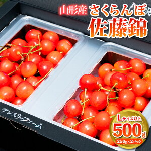 yӂ邳Ɣ[Łz uсv500g LTCYȏ R`Yyߘa8NYs\z FS25-927