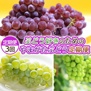 yӂ邳Ɣ[Łzy3zԂǂD̂߂̂܂Ԃǂ yߘa8NYs\zFS25-693 ʕ t[c R` R` R`s  s\ 2026NY