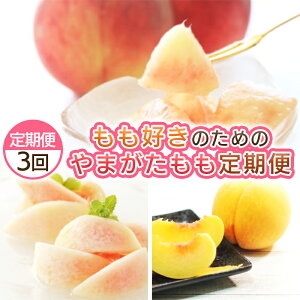 yӂ邳Ɣ[Łzy3zD̂߂̂܂ yߘa8NYs\zFS25-694 ʕ t[c R` R` R`s  s\ 2026NY