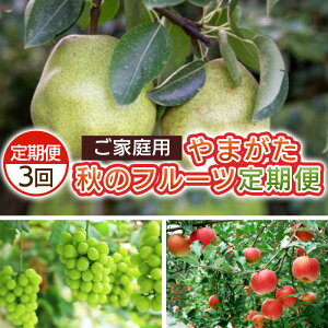 yӂ邳Ɣ[Łzy3zƒp ܂H̃t[c yߘa8NYs\zFS25-695 ʕ t[c R` R` R`s  s\ 2026NY