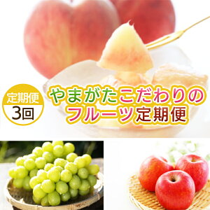 yӂ邳Ɣ[Łzy3z܂ ̃t[c yߘa8NYs\zFS25-696 ʕ t[c R` R` R`s  s\ 2026NY