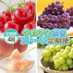 yӂ邳Ɣ[Łzy4z܂ ăt[c yߘa8NYs\z FS25-660  ʕ t[c R` R` R`s  2026NY