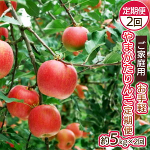 yӂ邳Ɣ[Łzy2zy ƒp ܂񂲒 FY25-046