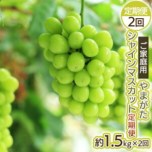 yӂ邳Ɣ[Łzy2zƒp ܂ VC}XJbg Di 1.5kg×2 yߘa8NYs\zFS25-699 ʕ t[c R` R` R`s  s\ 2026N