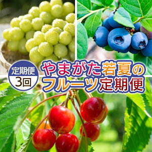 yӂ邳Ɣ[Łzy3z܂ Ẵt[c yߘa8NYs\zFS25-700 ʕ t[c R` R` R`s  s\ 2026NY