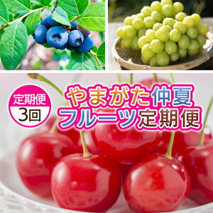 yӂ邳Ɣ[Łzy3z܂@ăt[c yߘa8NYs\zFS25-701 ʕ t[c R` R` R`s  s\ 2026NY