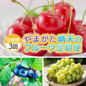 yӂ邳Ɣ[Łzy3z܂ Ṽt[c yߘa8NYs\zFS25-702 ʕ t[c R` R` R`s  s\ 2026NY