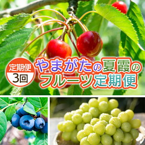 yӂ邳Ɣ[Łzy3z܂@ĉ̃t[c yߘa8NYs\zFS25-703 ʕ t[c R` R` R`s  s\ 2026NY