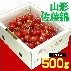 yӂ邳Ɣ[ŁzR`   LTCY 500g o ϔlyߘa8NYs\zFS25-540  ʕ t[c R` R` R`s  2026NY