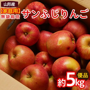 yӂ邳Ɣ[Łzyƒpzӂ Di 5kg FY25-066