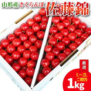 yӂ邳Ɣ[ŁzyI  ol߁z{ R`Y   1kg(L`2LTCY) yߘa8NYs\z FS25-585  ʕ t[c R` R` R`s  2026NY