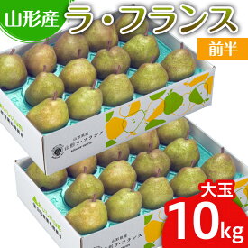 【ふるさと納税】山形のラ・フランス大玉 10kg(20〜28玉) 前半【令和8年産先行予約】FS25-747