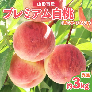 yӂ邳Ɣ[Łzv~A Gi 3kg (5`14) [_炩Ȃ铍] yߘa8NYs\z FS25-627  ʕ t[c R` R` R`s  2026NY