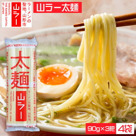 【ふるさと納税】山ラー太麺 (90g×3把)×4袋 FY25-239