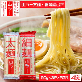 【ふるさと納税】山ラー太麺・細麺詰合せ (90g×3把)×各2袋 FY25-241