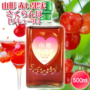 yӂ邳Ɣ[ŁzR` Ԃʎ (L[) 500ml ×1{ FY25-248