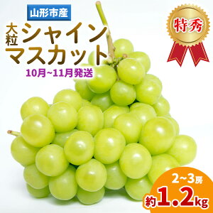 yӂ邳Ɣ[ŁzR`Y 嗱VC}XJbg 1.2kg(2`3[)(10`11) FY25-283