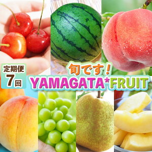 yӂ邳Ɣ[Łzy7z{łIYAMAGATAFRUIT FY25-285