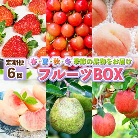【ふるさと納税】【定期便6回】フルーツBOX FZ25-287