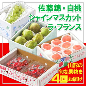 【ふるさと納税】【定期便4回】☆フルーツ王国山形☆『佐藤錦、白桃、シャインマスカット、ラ・フランス』 FY25-308