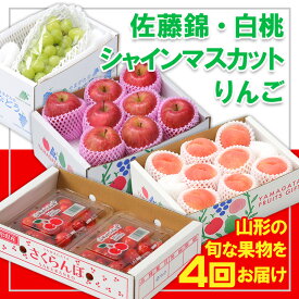 【ふるさと納税】【定期便4回】☆フルーツ王国山形☆『佐藤錦、白桃、シャインマスカット、りんご』 FY25-309