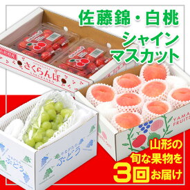 【ふるさと納税】【定期便3回】☆フルーツ王国山形☆『佐藤錦、白桃、シャインマスカット』 FY25-313