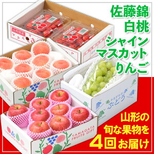 yӂ邳Ɣ[Łzy4zt[cR`сEEVC}XJbgE FY25-358