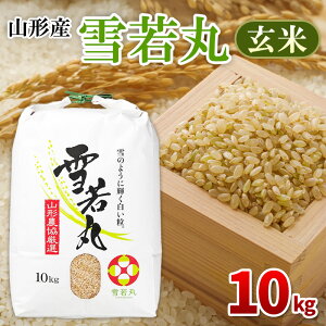 yӂ邳Ɣ[Łzߘa7NY R`Y   10kg FY25-436