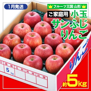 �y�ӂ邳�Ɣ[�Łz���t���[�c�����R�`���y���ƒ�p�z���ʃT���ӂ����(����) �D�i ��5kg(�ʐ����܂���)�y1�������z FY25-439