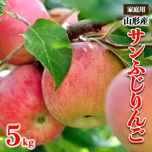 yӂ邳Ɣ[ŁzyƒpzR`Y Tӂ Diȏ 5kg FY25-817