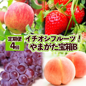 yӂ邳Ɣ[Łzy4zC`IVt[cI܂B FY25-822