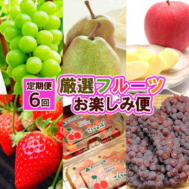 【ふるさと納税】【定期便6回】厳選フルーツお楽しみ FY25-827