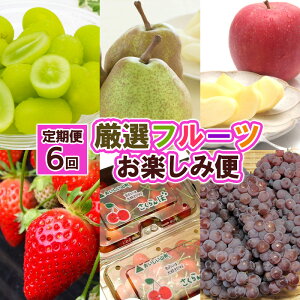 y6zIt[cy R`s t[c R` FZ25-990