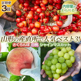 【ふるさと納税】【定期便3回】選べる 内容量 山形の産直所で人気ベスト3の定期便 FZ25-948 くだもの 果物 フルーツ 山形 山形県 山形市 お取り寄せ