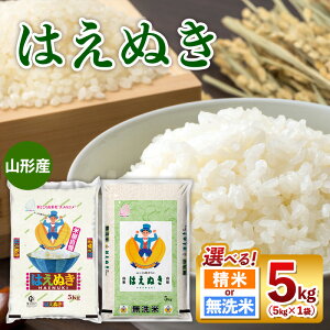 【ふるさと納税】令和7年産 山形産 はえぬき 5kg FY25-350 FY25-351
