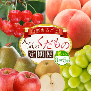 山形まるごと！人気のくだもの定期便 3回 5回 FZ25-958