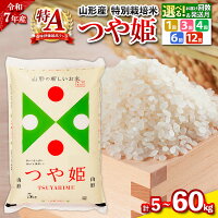 精米したてを発送 令和7年産 2025年産 先行予約 米 5kg 10kg...
