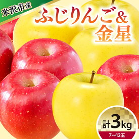 【ふるさと納税】【令和7年産】りんご 2種 詰め合わせ (ふじ 金星) 計 3kg【12月上旬～お届け】2025年産 リンゴ 林檎 2種類 詰合せ セット ふじ 5～8玉 金星 2～3玉 産地直送 直送 農家直送 フルーツ 山形県 米沢市