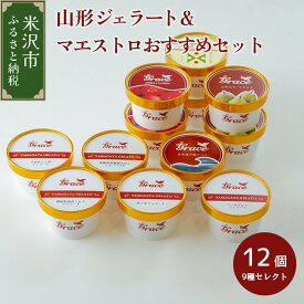 【ふるさと納税】山形ジェラート ＆ ジェラートマエストロお勧め 12個 詰合せ ( 9種類 より セレクト 100ml /個 ) ジェラート アイス ジェラートマエストロ