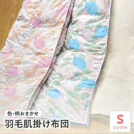 【ふるさと納税】【 ウォッシャブル 】 羽毛 肌掛け 布団 シングル 色・柄お任せ 薄手 ふとん