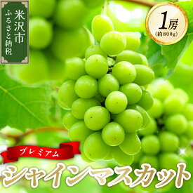 【ふるさと納税】【先行予約】 令和8年産 プレミアム シャインマスカット 1房 ( 約800g ) 2026年10月頃～ お届け予定