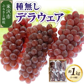 【ふるさと納税】【 先行予約 令和8年産 】 ぶどう 種無し デラウェア 1kg (5〜9房) 2026年7月下旬〜 お届け 2026年産 ブドウ 葡萄 デラウェア フルーツ 果物 くだもの お取り寄せ 冷蔵 山形県 米沢市 夏 秋 旬