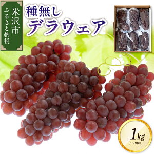 �y�ӂ邳�Ɣ[�Łz�y ��s�\�� �ߘa8�N�Y �z �Ԃǂ� �햳�� �f���E�F�A 1kg (5�`9�[) 2026�N7�����{�` ���͂� 2026�N�Y �u�h�E ���� �f���E�F�A �t���[�c �ʕ� �������� ������ �① �R�`�� ��