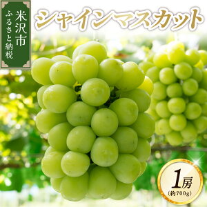 �y�ӂ邳�Ɣ[�Łz�y ��s�\�� �ߘa8�N�Y �z �Ԃǂ� �V���C���}�X�J�b�g 1�[ (700g) 10����{���` ���͂� 2026�N�Y ��s��t �}�X�J�b�g ���� ���Ԃǂ� ���n �① �①���� �R�`���Y �t���[�c �ʕ�