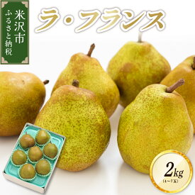 【ふるさと納税】【 令和7年産 】 ラ・フランス 2kg (4〜7玉) 2025年11月中旬頃〜 お届け 洋梨 ラフランス 2025年産 ラフランス 西洋梨 洋梨 洋ナシ 西洋ナシ 園地限定 フルーツ 果物 くだもの お取り寄せ 山形県 米沢市 秋 旬