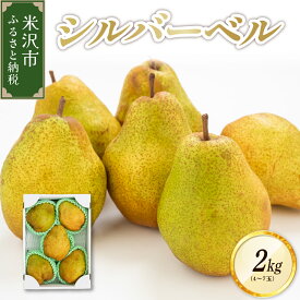 【ふるさと納税】【 先行予約 令和7年産 】 シルバーベル 2kg (4〜7玉) 2025年12月中旬〜 お届け 洋梨 西洋梨 2025年産 先行受付 洋なし 西洋梨 フルーツ 果物 くだもの お取り寄せ 山形県 米沢市 秋 旬