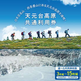 【ふるさと納税】 天元台高原 共通利用券 選べる枚数 3枚組 ( 3,000円 ) 5枚組 ( 5,000円 ) 10枚組 ( 10,000円 ) 15枚組( 15,000円 ) トレッキング グリーンシーズン スキー スノーボード ウィンタースポーツ 天元台 西吾妻山 山形県 米沢市