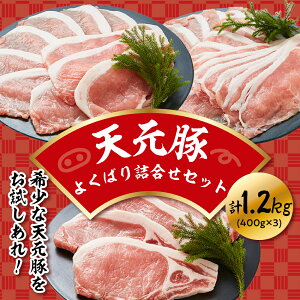 yӂ邳Ɣ[ŁzV 悭΂ l Zbg v 1.2kg ؓ Ԃ ē Ƃ񂩂 Hה lߍ킹 ֗  uh S wV[ |[N J[  